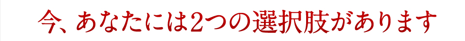 今、あなたには2つの選択肢があります